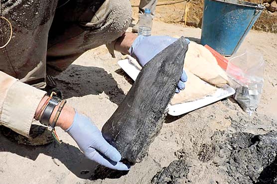  5 لاکھ سال پُرانا لکڑی کا ڈھانچہ دریا سے صحیح سلامت برآمد