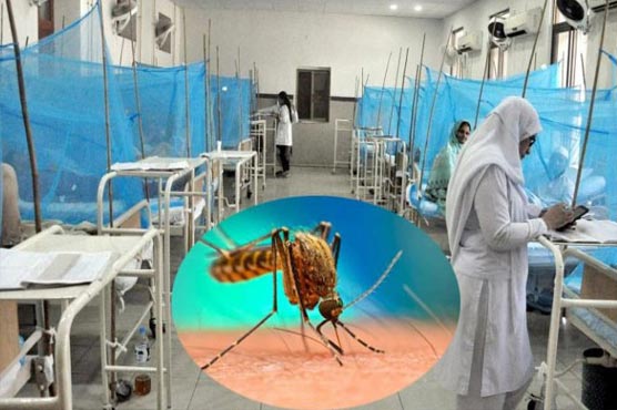 نشترہسپتال میں زیر علاج مزید  دومریضوں میں ڈینگی کی تصدیق