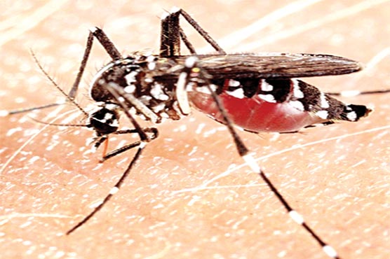 4 مریض صحت یاب 