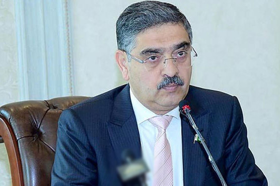 اوورسیز پاکستانی سرمایہ کاری مواقع سے فائدہ اٹھائیں، انوار کاکڑ 