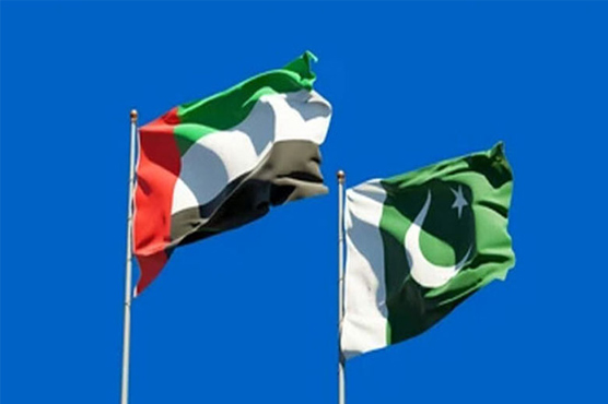 پاکستان اوریواے ای کے درمیان تجارت میں اضافہ