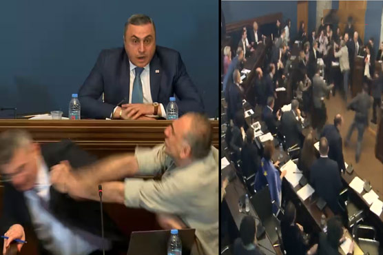 جارجیا کی پارلیمنٹ اکھاڑا بن گئی، پارلیمانی لیڈر کو مکا مار دیا گیا