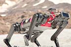 روبوٹ کتے کو چاند پر چلنے کی تربیت دی جانے لگی 
