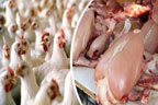 چکن کی قیمت میں 31 روپے اضافہ، 697 کا کلو ہوگیا