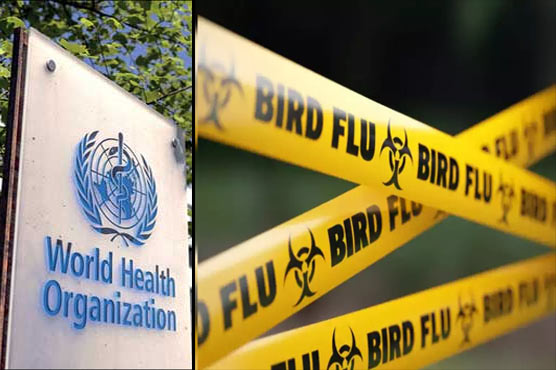 انسانوں میں برڈ فلو پھیلنے کا خطرہ تشویشناک :عالمی ادارہ صحت