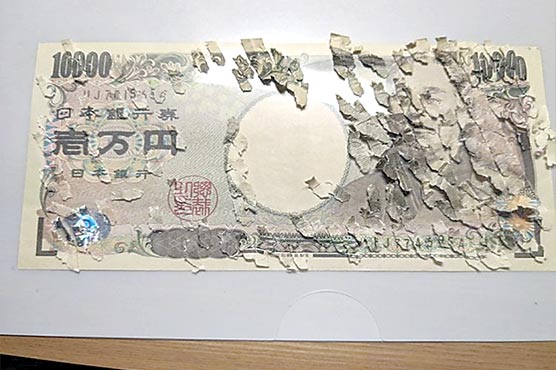 جاپانی لڑکے نے نوٹ جوڑنے میں 3ہفتے کا وقت لگا دیا 