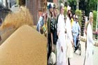 لاہور، پولیس کا کسانوں کیخلاف کریک ڈاؤن، 30 گرفتار: پنجاب اسمبلی میں گندم بحران پر حکومتی، اپوزیشن ارکان ایک 