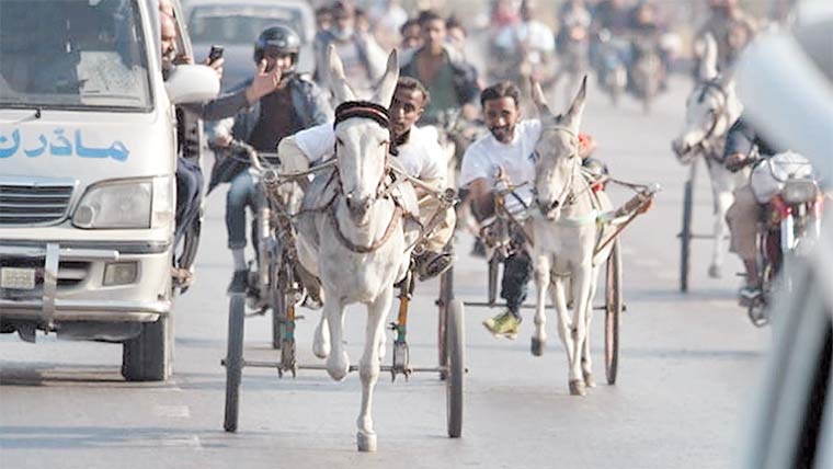 مسلم یوتھ لیگ کے تحت چیمپئنز گدھا گاڑی ریس کا انعقاد