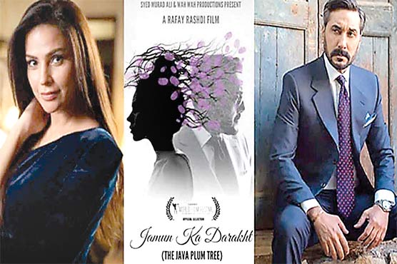 پاکستانی فلم ‘جامن کا درخت’ کانز ایوارڈ جیت گئی