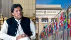 عمران خان کو قید رکھنا  بین الاقوامی قانون کے منافی  اقوام متحدہ ورکنگ گروپ 