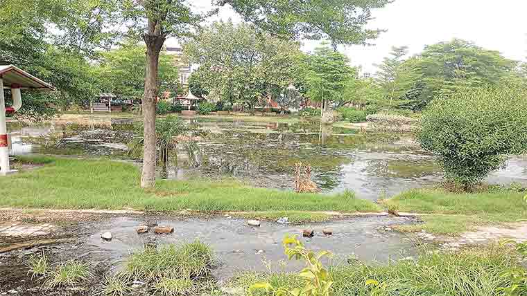 شاداب کالونی حبیب پارک میں گٹروں کا پانی جمع 