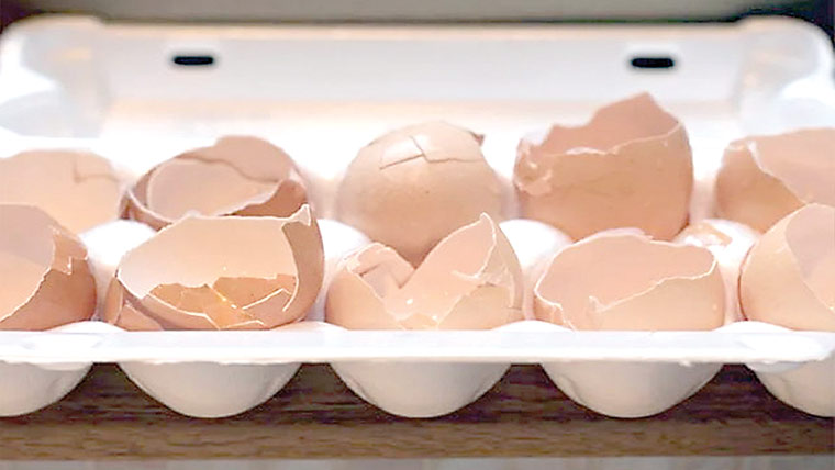 انڈوں کے چھلکوں سے نایاب عناصر حاصل کرنے کا طریقہ وضع