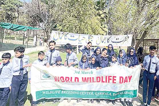 جنگلی حیات کا عالمی دن ، وائلڈ لائف بریڈنگ سنٹر میں واک 