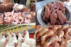 برائلر گوشت کی قیمت  میں15روپے کلو اضافہ