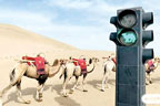چین کے صحرا میں اونٹوں کیلئے ٹریفک سگنلز نصب