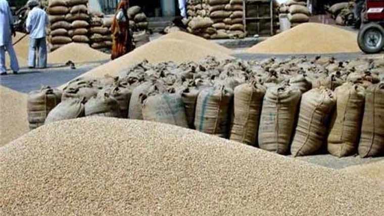 پختونخوا نے کاشتکاروں سے  ایک لاکھ ٹن گندم خرید لی 