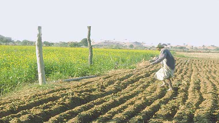 درجہ حرارت میں اضافہ ، ربیع کی فصلوں کی بوائی نہ ہوسکی 