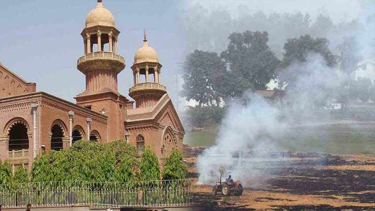  فصلوں کی باقیات جلانے والوں کی گرفتاری کی ہدایت