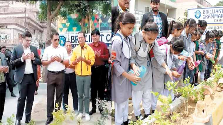  آلودگی میں کمی کیلئے شجر کاری مہم جاری رکھی جائے ،طحہٰ سلیم 