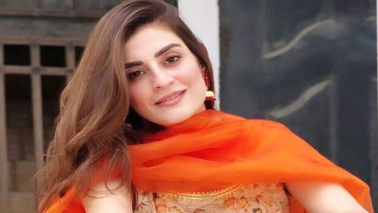 نہیں چاہتی کہ میری بیٹیاں شوبز میں کام کریں: آمنہ ملک