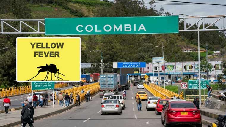 کولمبیا نے پیلا بخار پھیلنے پر  ہنگامی حالت کا اعلان کر دیا