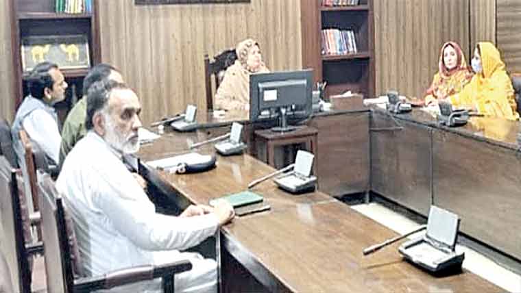 وومن پروٹیکشن کمیٹی کو مؤثر انداز میں فعال بنایا جائے :قراۃ العین 