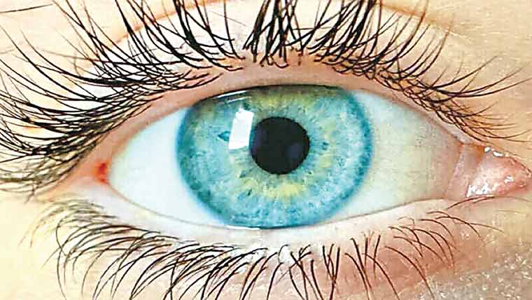 سائنسدانوں کا ان دیکھا نیا رنگ دریافت کرنے کا دعویٰ