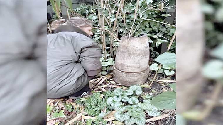 ٹوٹا ہوا گملا1کروڑ سے زائد روپے میں فروخت 