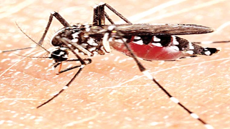 مشتبہ مریض زیر علاج 