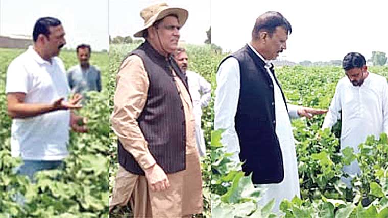 ڈائریکٹر جنرلز زراعت کا کپاس کے زیر کاشت علاقوں کا دوررہ 