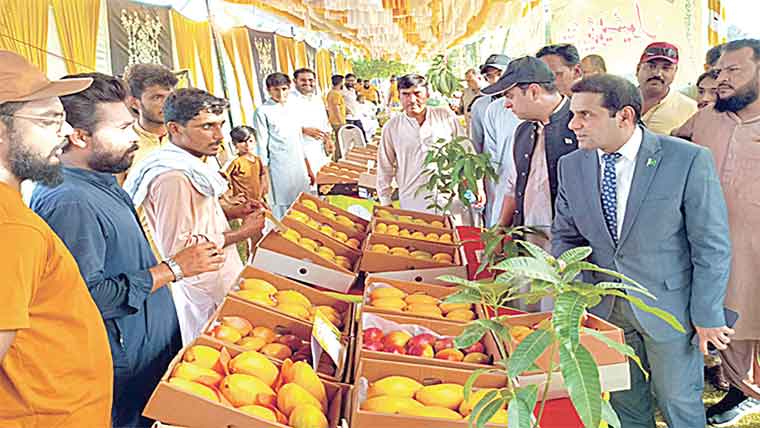  فیاض پارک مظفرگڑھ میں 2روزہ مینگو فیسٹیول کا آغاز