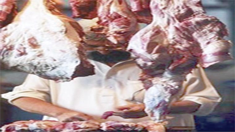 مضر صحت گوشت،دکان سیل،مقدمہ درج