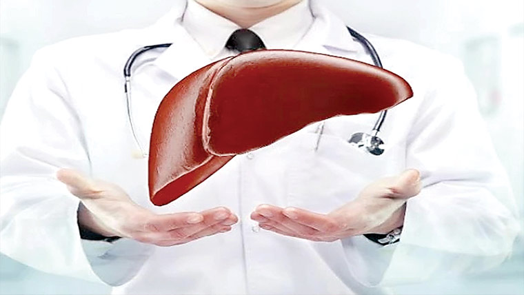 جگر کے کینسر سے اکثر اوقات بچاؤ ممکن ہوتا :نئی تحقیق