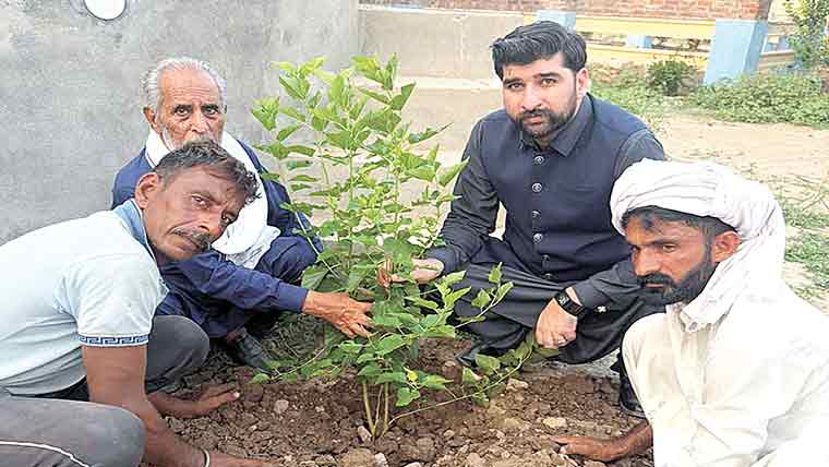 لیگی رہنما ثناور ارشد جوندہ نے  شجرکاری مہم کا افتتاح کر دیا 