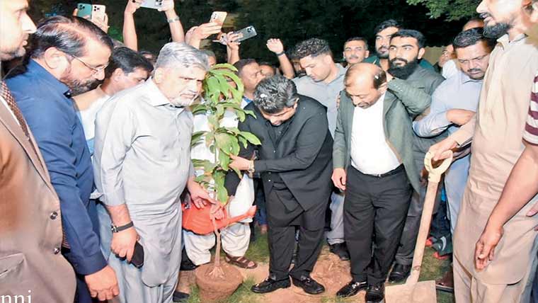  گورنر کی زیر قیادت شجر کاری مہم ، غیر ملکی سفیروں کی شرکت