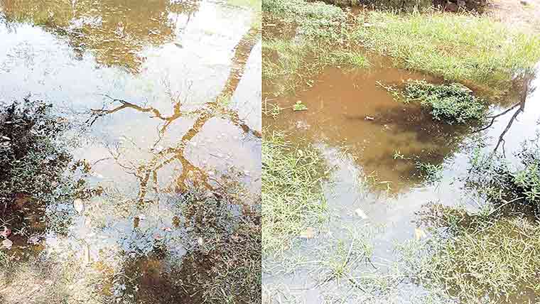 گٹروں،نالوں کا پانی چھوڑدیا،حافظ آباد کا فیملی پارک جوہڑ میں تبدیل،شہریوں کا احتجاج