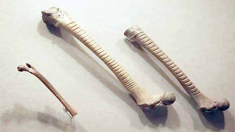  ازٹیک تہذیب میں ہڈیوں کا غیر معمولی کاموں میں استعمال 