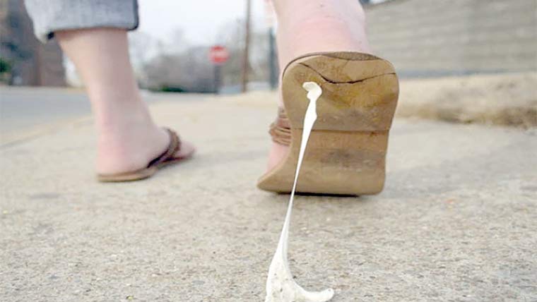 دنیا کے چند ممالک جہاں کے قوانین عجیب و غریب ہیں