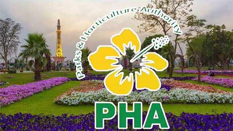 پی ایچ اے : بڑے منصوبوں پر شجر کاری فنڈز نہ مل سکے