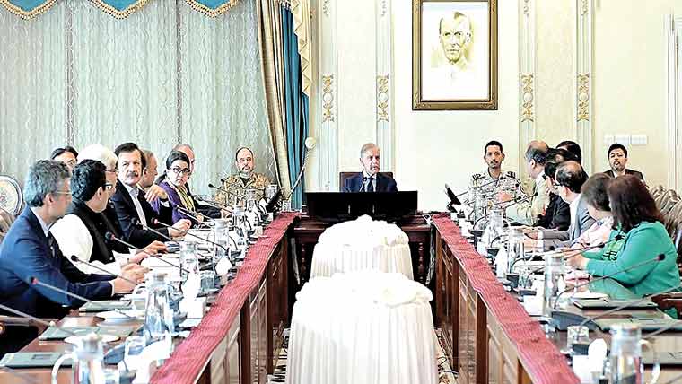  ایف بی آر اصلاحات کا نفاذ یقینی بنایا جائے :شہباز شریف