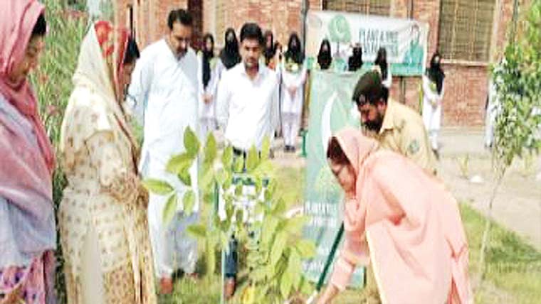 اسسٹنٹ کمشنر شازیہ رحمان نے  پودا لگا کر شجرکاری مہم کا افتتاح کیا