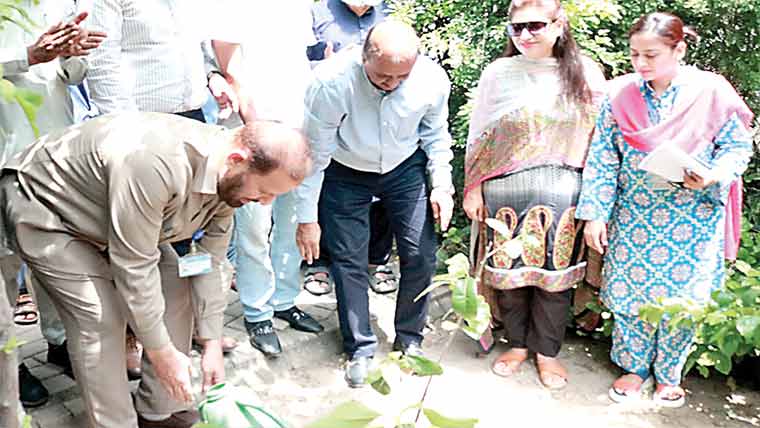صحافی کالونی ایف بلاک میں  بجلی کی فراہمی کا باقاعدہ آغاز