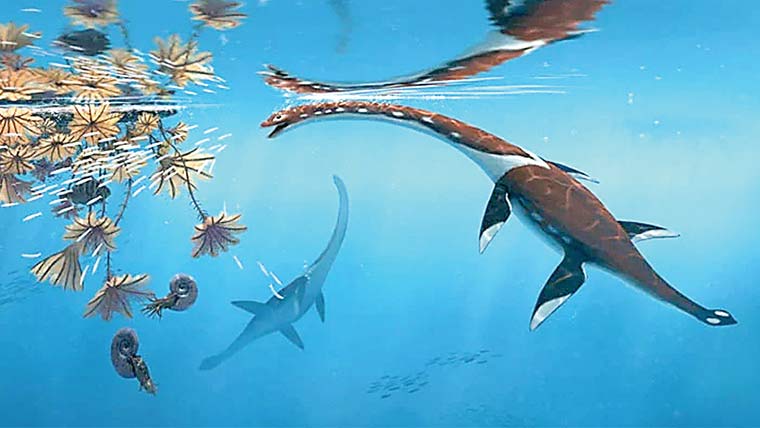 جرمنی میں جراسک دور کی قدیم سمندری مخلوق دریافت