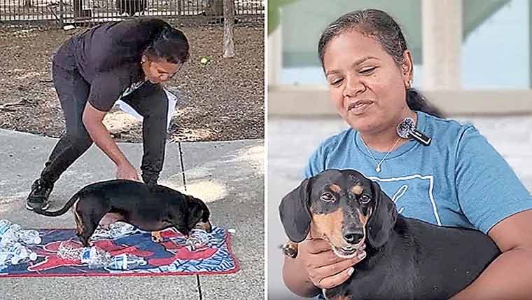  کتے نے بوتلوں سے ڈھکن ہٹانے کا انوکھا ریکارڈ بنا ڈالا