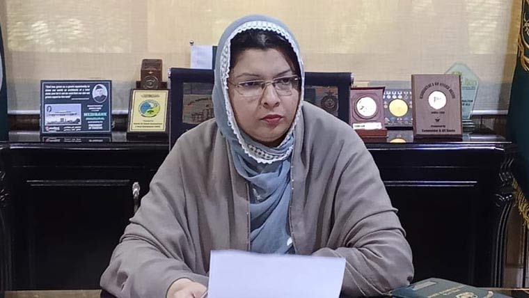 نیشنل ایکشن پلان کمیٹی کا اجلاس  غیر قانونی پٹرول پمپ سیل