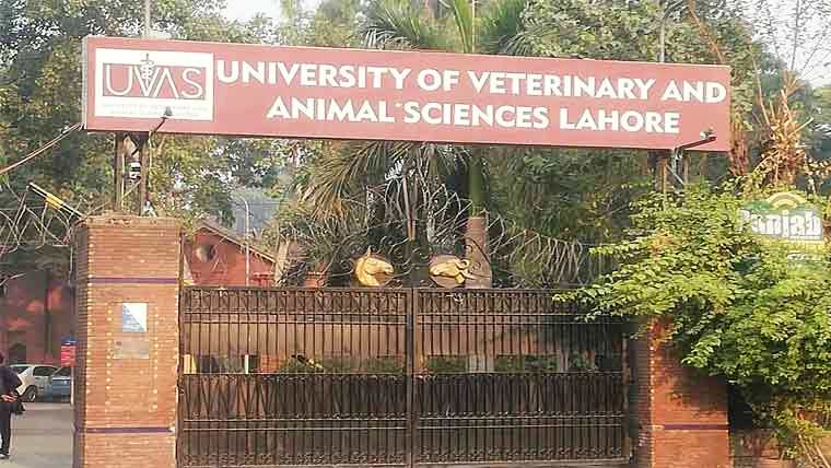  ایک روزہ ورکشاپ 