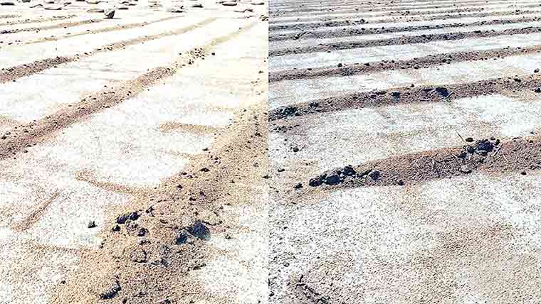 حافظ آباد:پاسکومراکز میں ذخیرہ گندم خراب