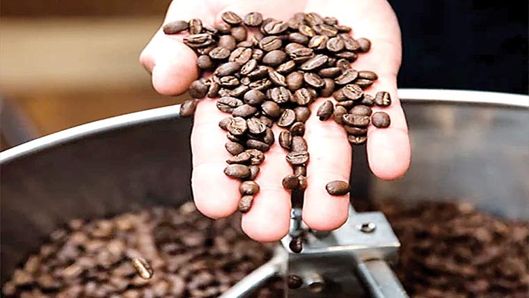 پاناما کی گیشا کافی کا مہنگے داموں فروخت ہونے کا ریکارڈ 