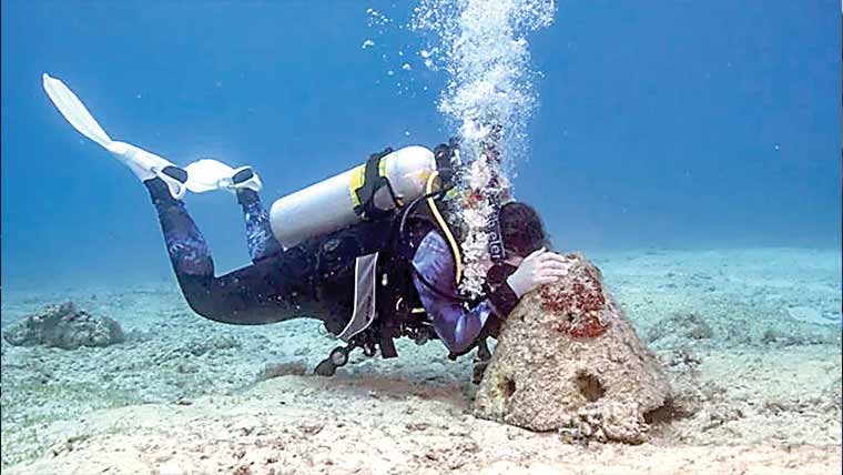  شوہر کی موت، خاتون نے سمندر میں منفرد یادگار قائم کردی