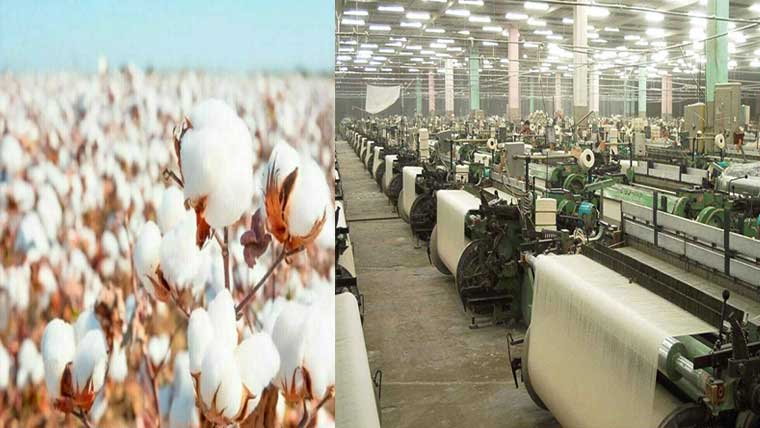  کپاس کی پیداوار متاثر،ٹیکسٹائل سیکٹر میں چیلنجز درپیش
